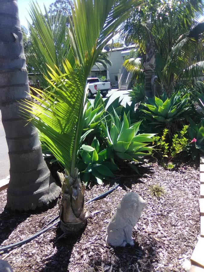Seahorse Motel Cowes Εξωτερικό φωτογραφία